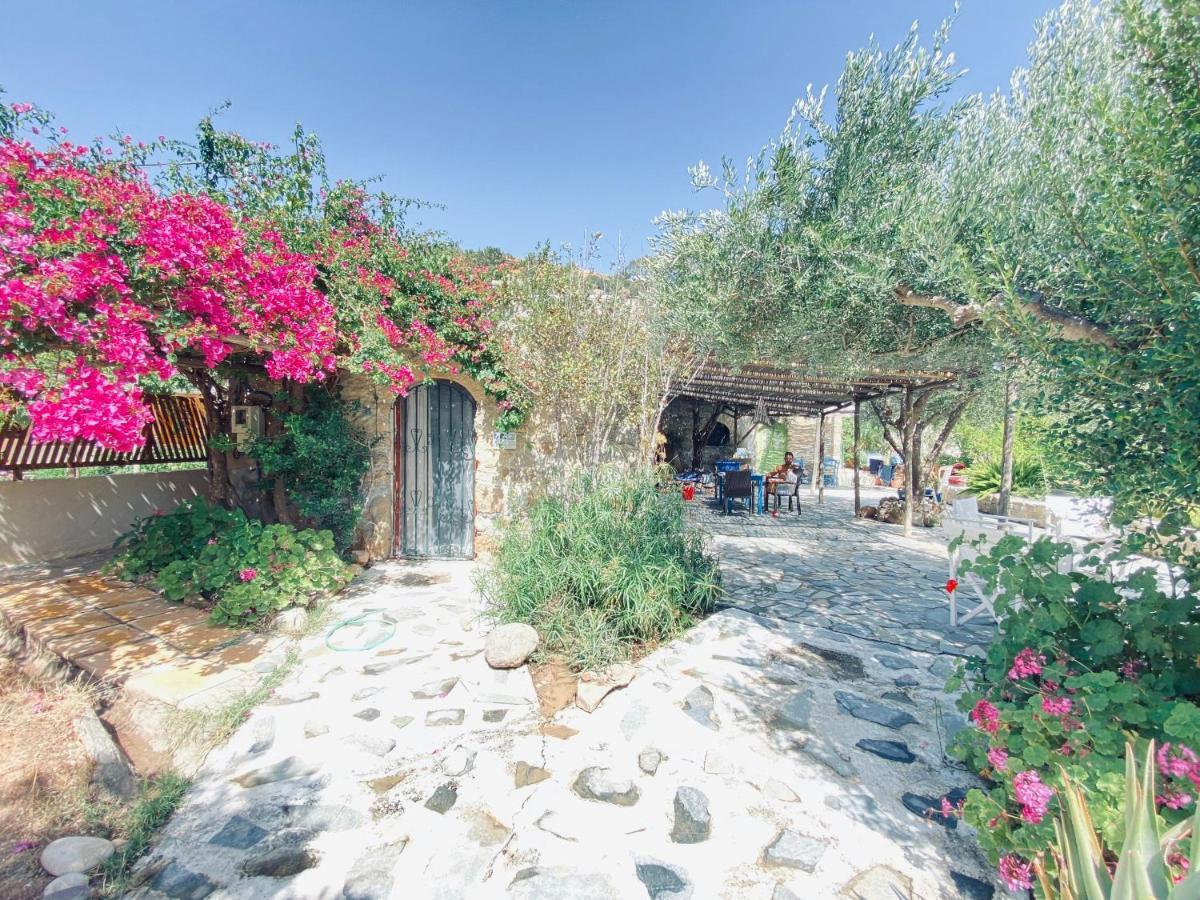 Natura Cottages Makrýgialos Zewnętrze zdjęcie